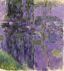Water Lilies
